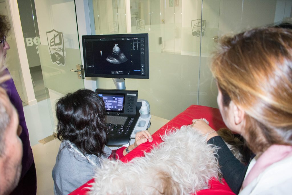 Imagen para el Diagnóstico en el sector veterinario